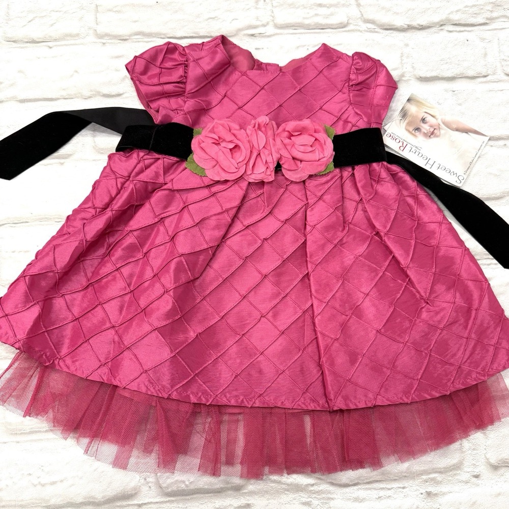 Sweetheart Rose Baby Girls Fancy Dress Bubblegum‎ Pink Rosette Lace Tulle Sz 12M